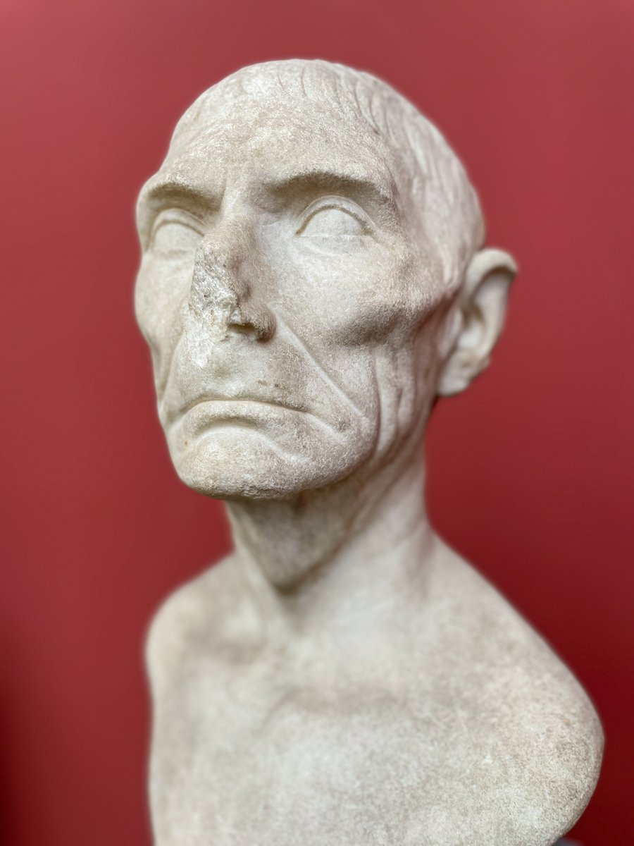 Gareth Harney tweet media