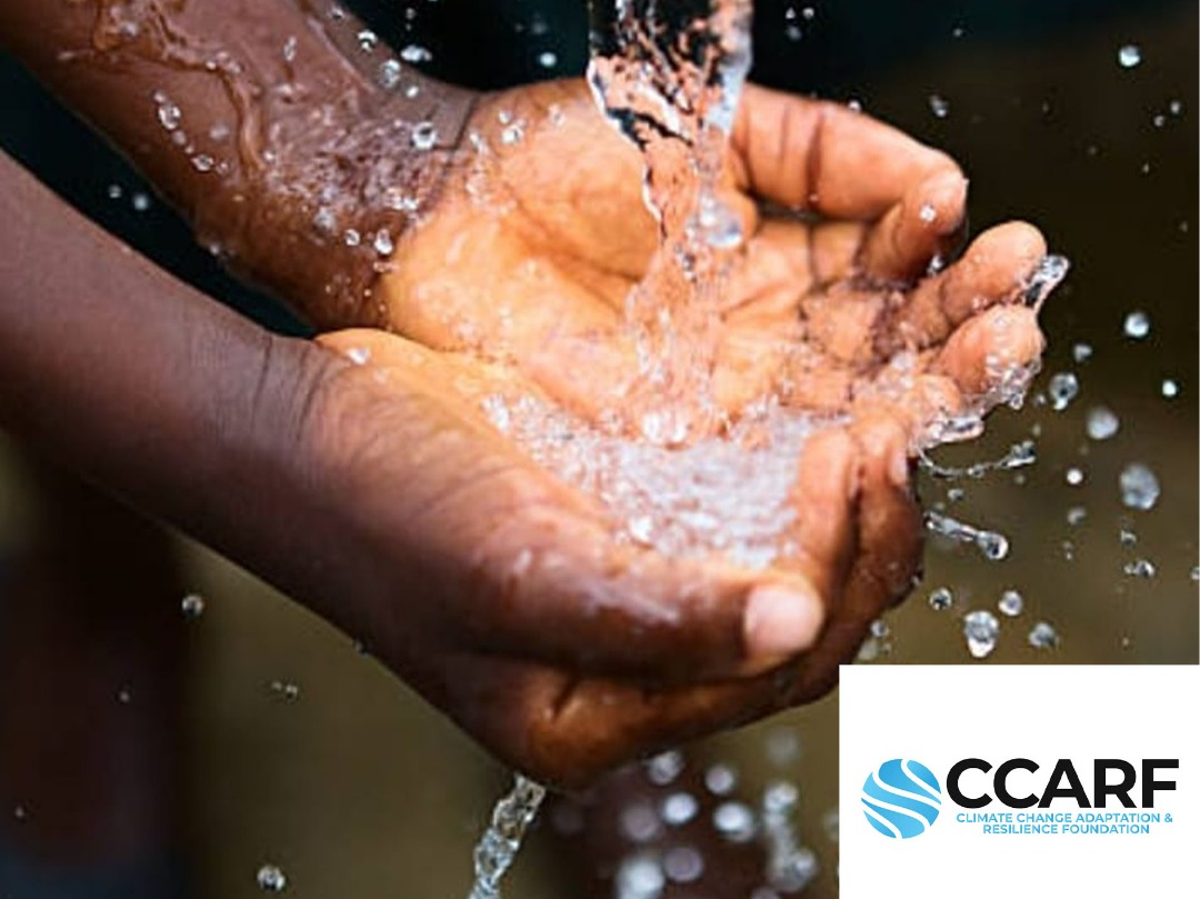 CcarfZim's tweet photo. Green movement its time to act. Its time for Africa to deliver on the transformation needed to reduce climate CHANGE #OnlyOneEarth #CCARF #InHarmonyWithNature #Youth4Climate #WeDontHaveTime #Stockholm50 https://t.co/Kh9oBEYztR