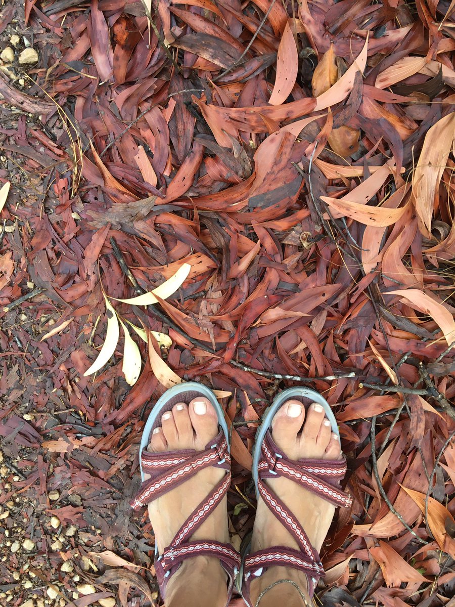 DeeptaSateesh's tweet image. watch this space for upcoming #workshop and #performancelecture by self and the lovely @laura_denning at the @2022symposium end of this month! @artdotearth #wetness #palimpsest #correspondences #movement #wetontologies #sentience