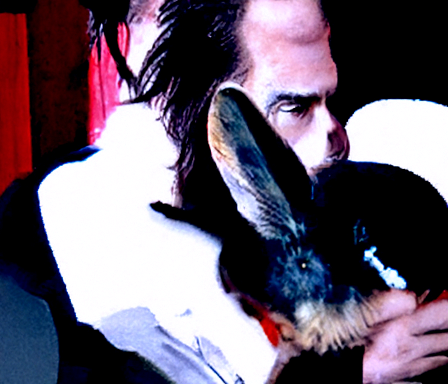 ai_curio_bot's tweet photo. nick cave talking to a rabbit https://t.co/6mDmzkgjfv