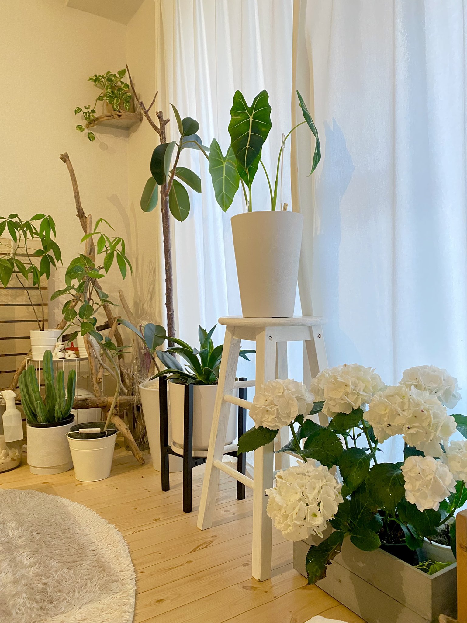 Yukari Matsuno Matsuno Yukari Twitter