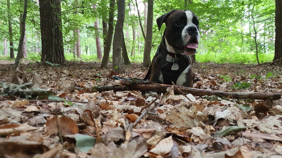 Nobody gets my Stick.