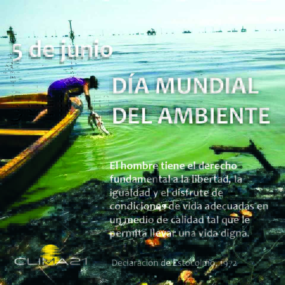 clima21_VE's tweet photo. Les invitamos a leer: Día Mundial del Ambiente: Desde los derechos humanos ambientales hacia la condena al ecocidio https://t.co/e4QBYhrFNB @StockholmPlus50 @StopEcocidioAme @AccionClimaVzla @ecopoliticave  @OVDHA_ #DiaMundialDelMedioAmbiente #ecocidio #DerecosHumanos https://t.co/6c9dLs6mPC