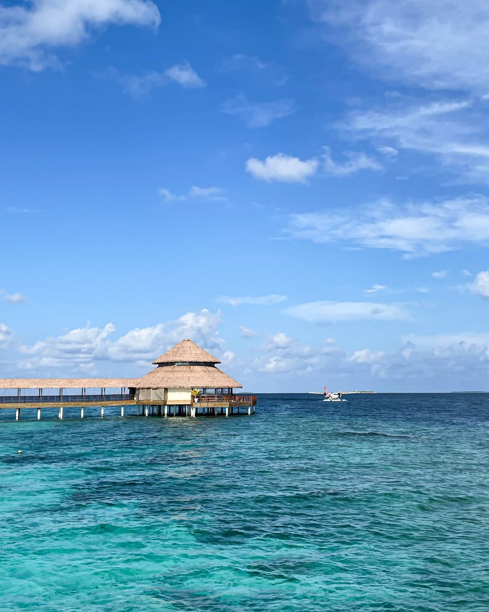 reethifaru's tweet photo. My dream dining spot is over the crystal clear water with seaplane view.

Have you tried out the new menu? Comment below and let us know your new favourite dish!

#reethifaru #reethifaruresort #maldives #malediven #vacation #overwaterdining #seaplane #travel #sundayvibes https://t.co/7mVWzlUztj
