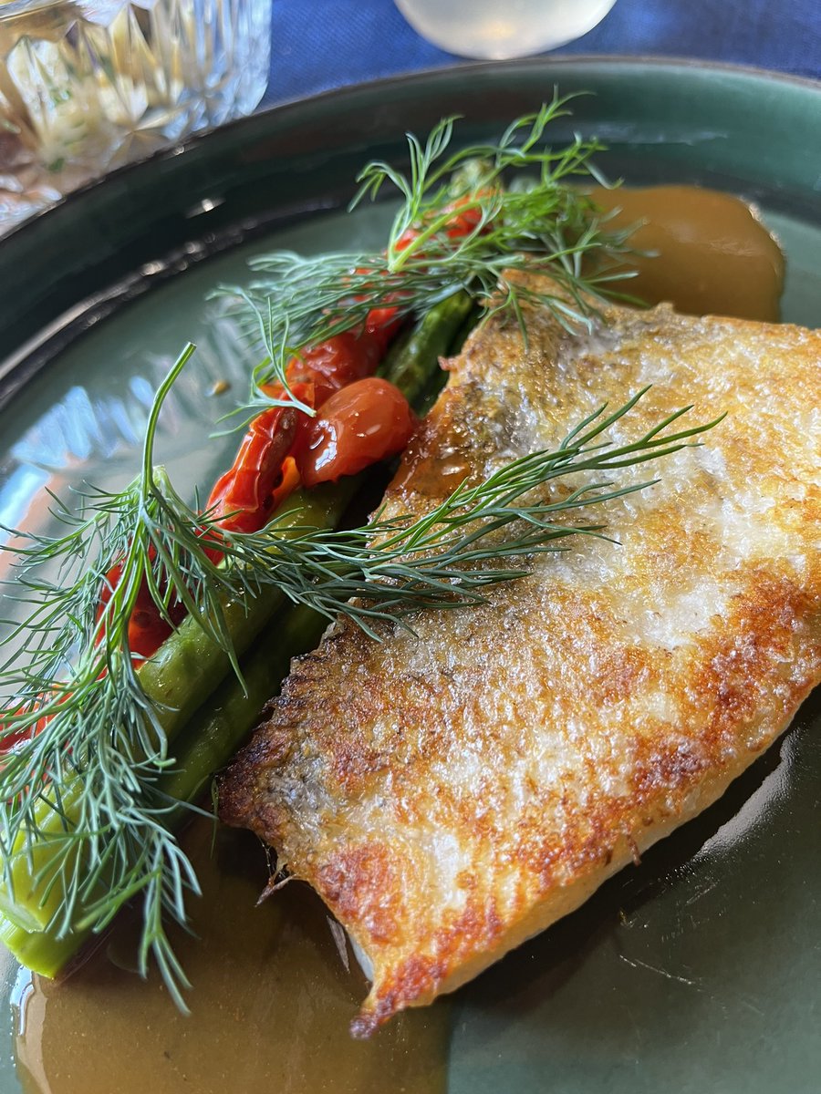 ZelenaRaketa tweet media