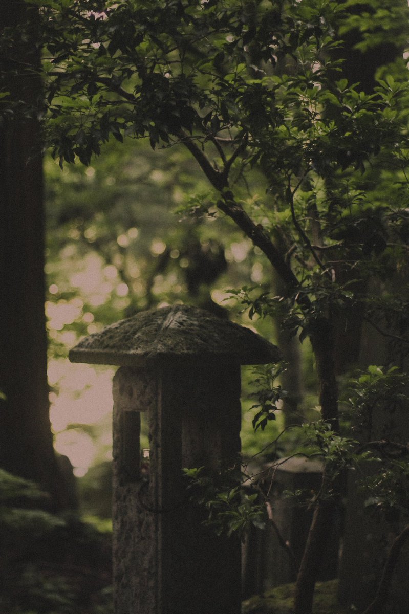 lushfoil tweet picture