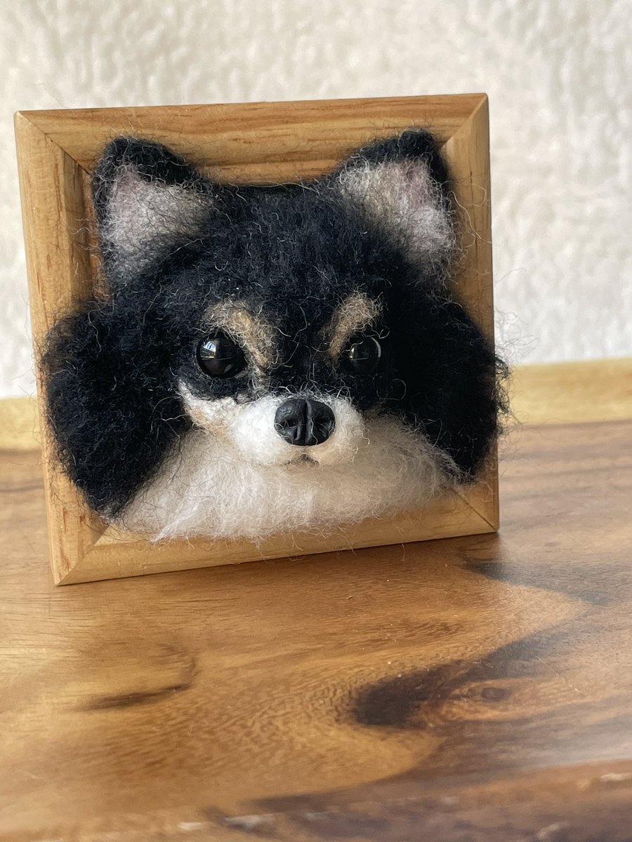 ranneedlefelt's tweet photo. フォトフレームチワワ

うちの子は白ですが
ブラックタンも可愛いですよね♡

#羊毛　#羊毛フェルト　#いぬ　#犬　#チワワ　#ミニチュア https://t.co/CPioKKaZXK