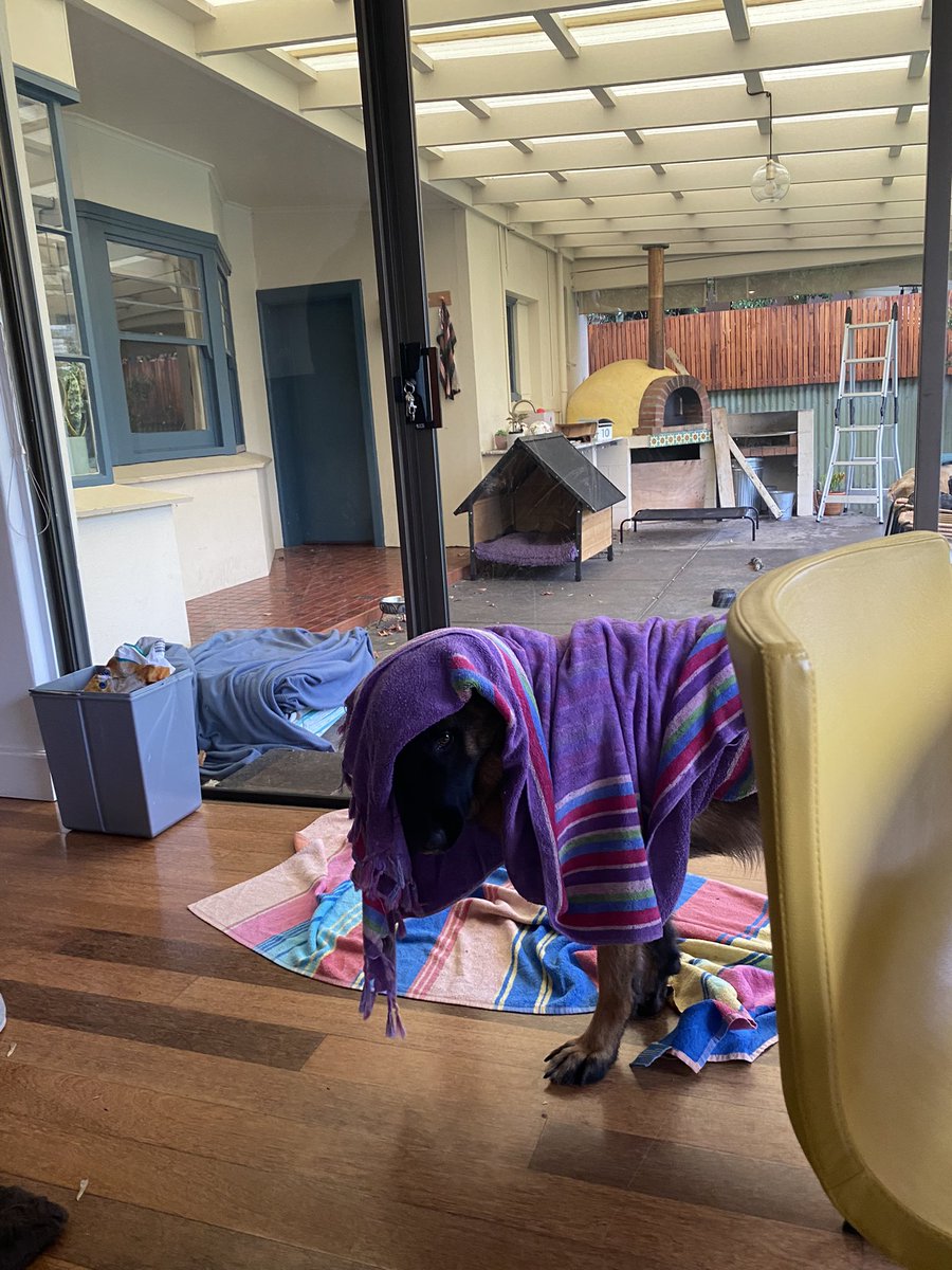 It’s been that kind of day…