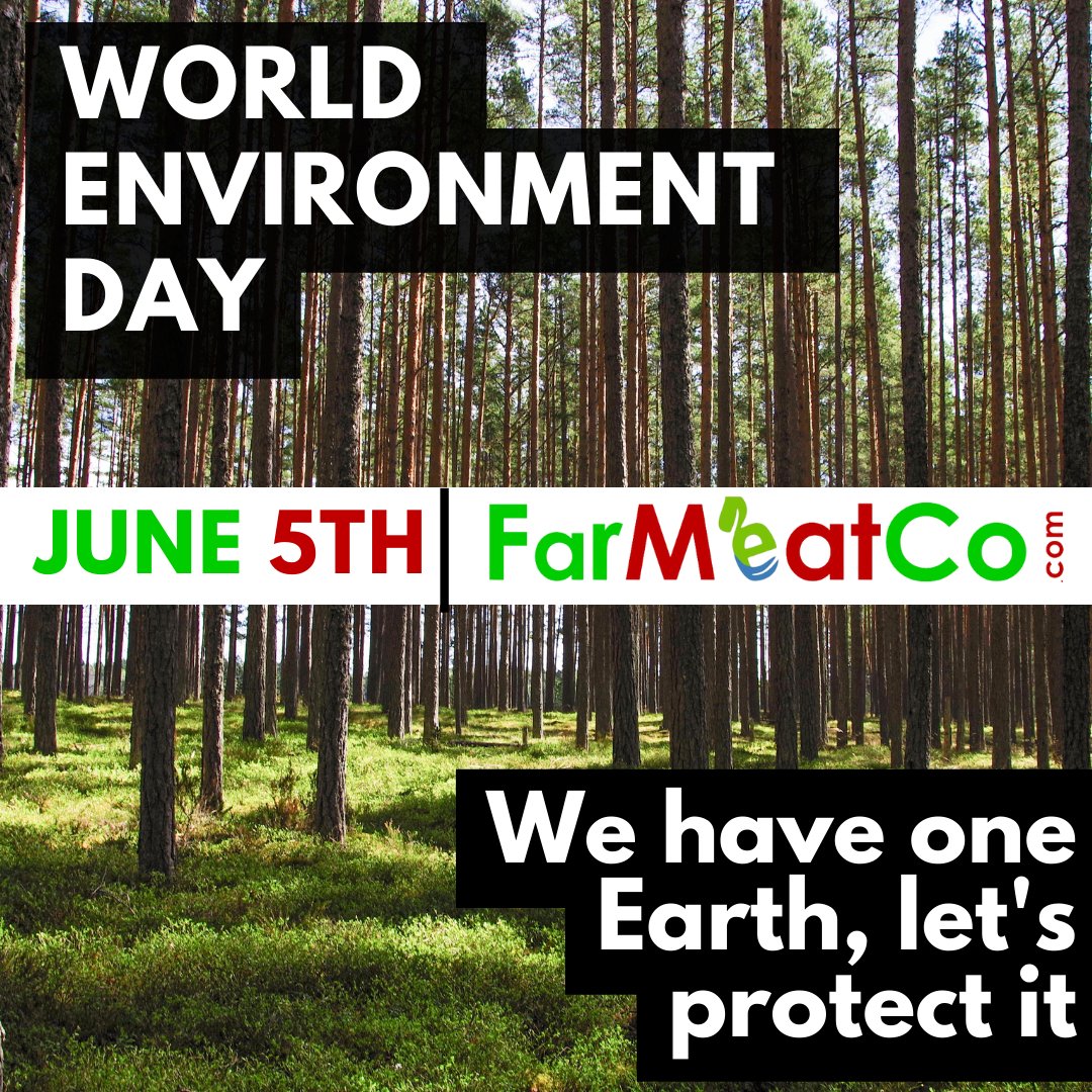 farmeatco's tweet photo. World Environment Day #world #WorldEnvironmentDay2022 #environment #day #WorldEnvironmentDay #WorldEnvironment #EnviormentFriendly #EnviormentFriendly #worldwide #farmeatco #WorldNews https://t.co/wO8sDbtBc4