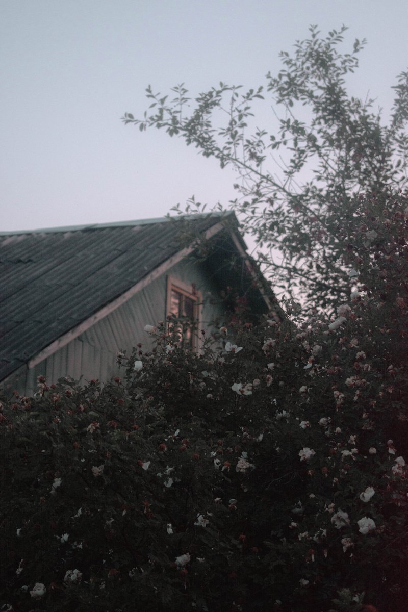 saltus_art's tweet photo. The house watches the sunset from old windows
My debut collection «The old summer film» is available on @opensea
Only 1/1
0.06 $ETH
#ngtcommunity #nftphotography #nftdrop #nftcollectors #nftworld https://t.co/jog3G7mMTY