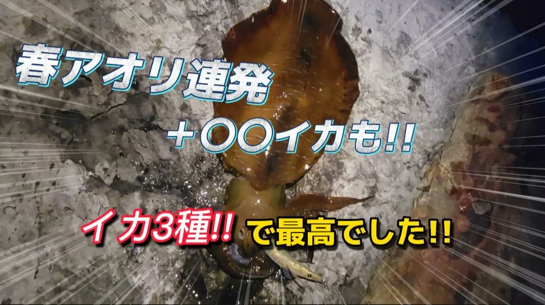 Yutaka Fishing Yutakafishing Twitter