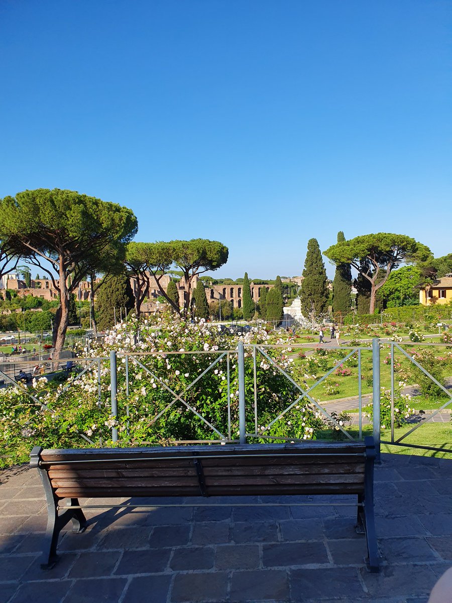 Dale_pozz's tweet photo. Taking my @ChimpersNFT for a walk in Rome for the #chimpersweekend

Oh fuck I don't have a Chimpers, I can take my @TBAChronicles tho!
Let's !chimp https://t.co/szJa2H8e4t