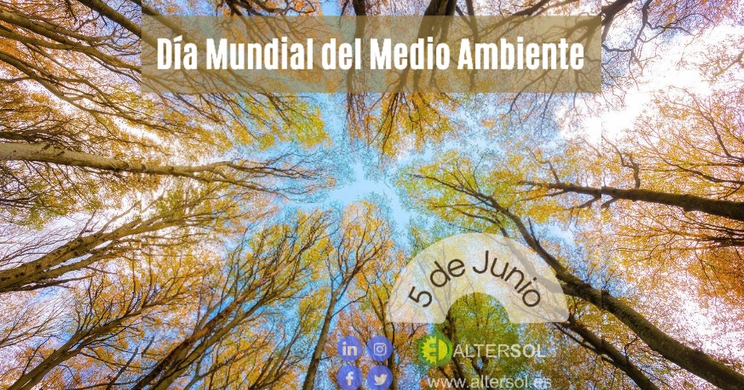 Altersolspain's tweet photo. Hoy 5 de junio, celebramos el #DiaMundialDelMedioAmbiente. Porque creemos que muchos pequeños gestos individuales dan como resultado un gran beneficio a la comunidad...¡¡Respeta y disfruta de lo que te rodea!! https://t.co/XPVQqet47v ☀️🌳🌍 https://t.co/hTE4POSyhA