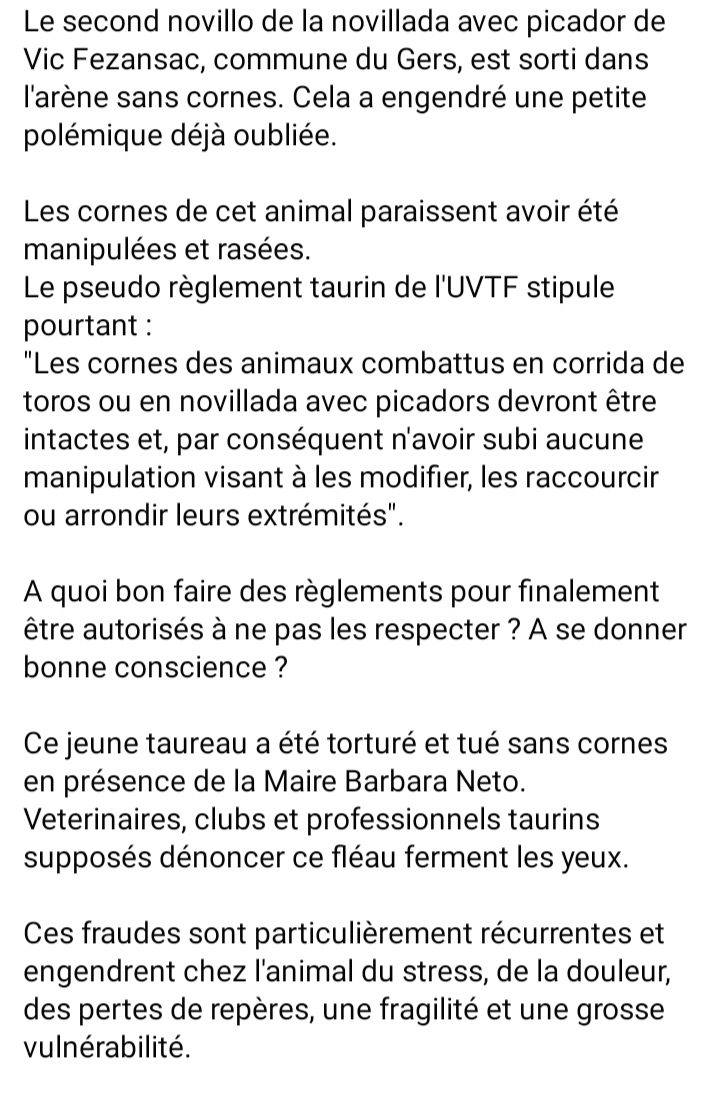 asso_FUTUR's tweet photo. Une fraude déjà oubliée à #Vicfezansac. Un jeune taureau torturé et tué sans cornes.
A quoi bon faire des règlements taurins s'il est autorisé de ne pas les respecter ?
Sans doute à se donner bonne conscience.
#UVTF https://t.co/xHs35rE7Qz