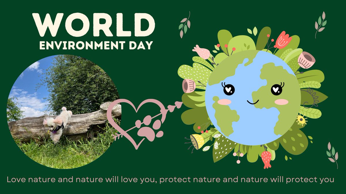 fluffysfabworld's tweet photo. It's World Environment Day, Fluffy is going to be helping to litter pick in her local area, lets all start small to make some kind of difference. #makeadifference #worldenvironmentday https://t.co/5ZVrC8Odth