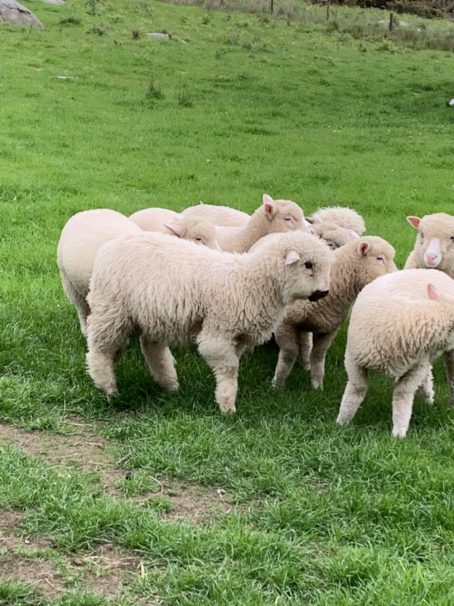 Spent a good time with family at Glendalough, Ireland. This country is amazing.