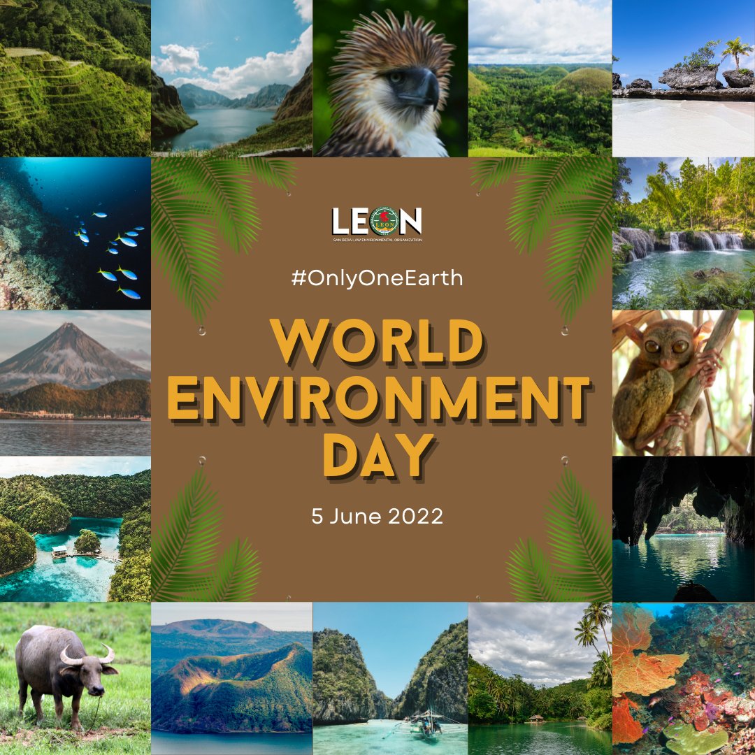 sbumendiolaLEON's tweet photo. Let's call for climate justice and biodiversity protection. We only have one planet to protect, and its destiny lies in our hands. “We do not own the environment, it is something we borrow from future generations.”🌏🌱 
#OnlyOneEarth
#ClimateJustice
#WorldEnvironmentDay https://t.co/857ZP6EmGV