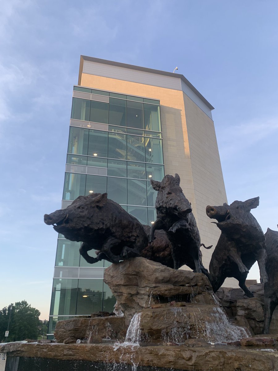 UArk is beautiful.  Woo pig!