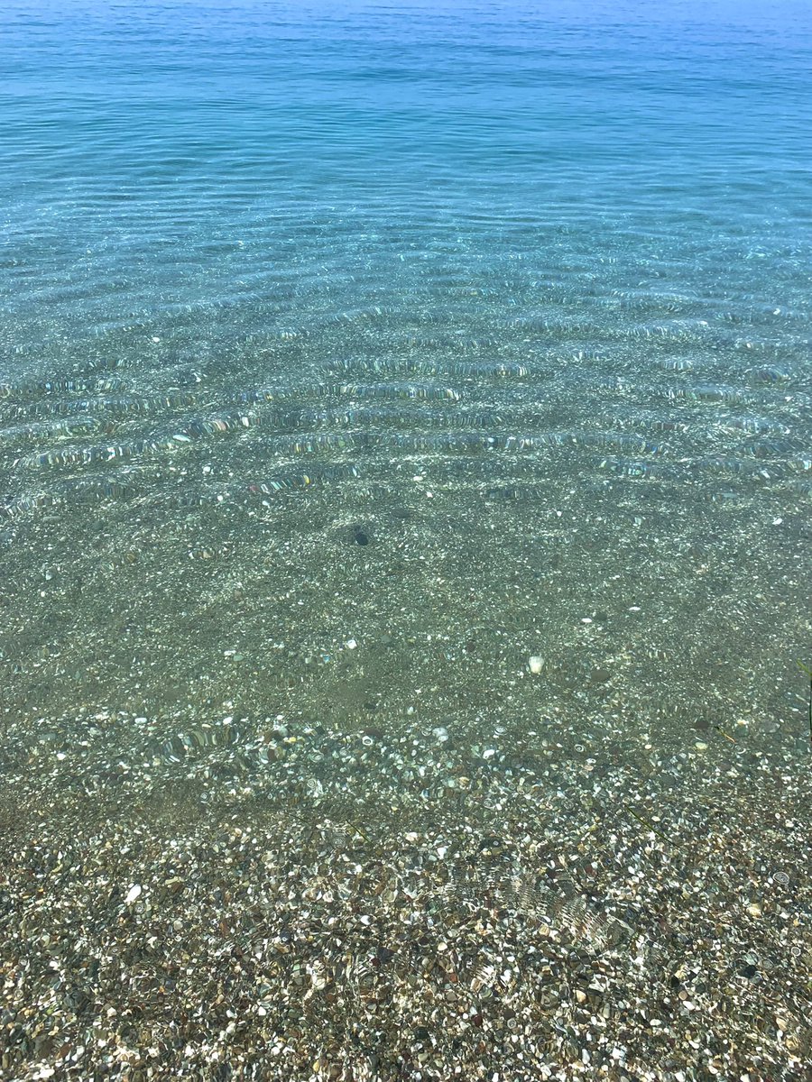 annalisaok8's tweet photo. CETRARO🌞🌊
05/06/22
#calabria #calabriadamare #cetraro #sun #sea #relax #summer #summertime https://t.co/MgEd6e8RaC