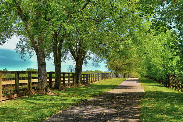 denisew428's tweet photo. #summer #countrypath #serenity #SpringfieldTennessee #art available at:
https://t.co/d5HHUK7k2s
#BuyIntoArt #FindArtThisSummer https://t.co/PjUBI0IpyD