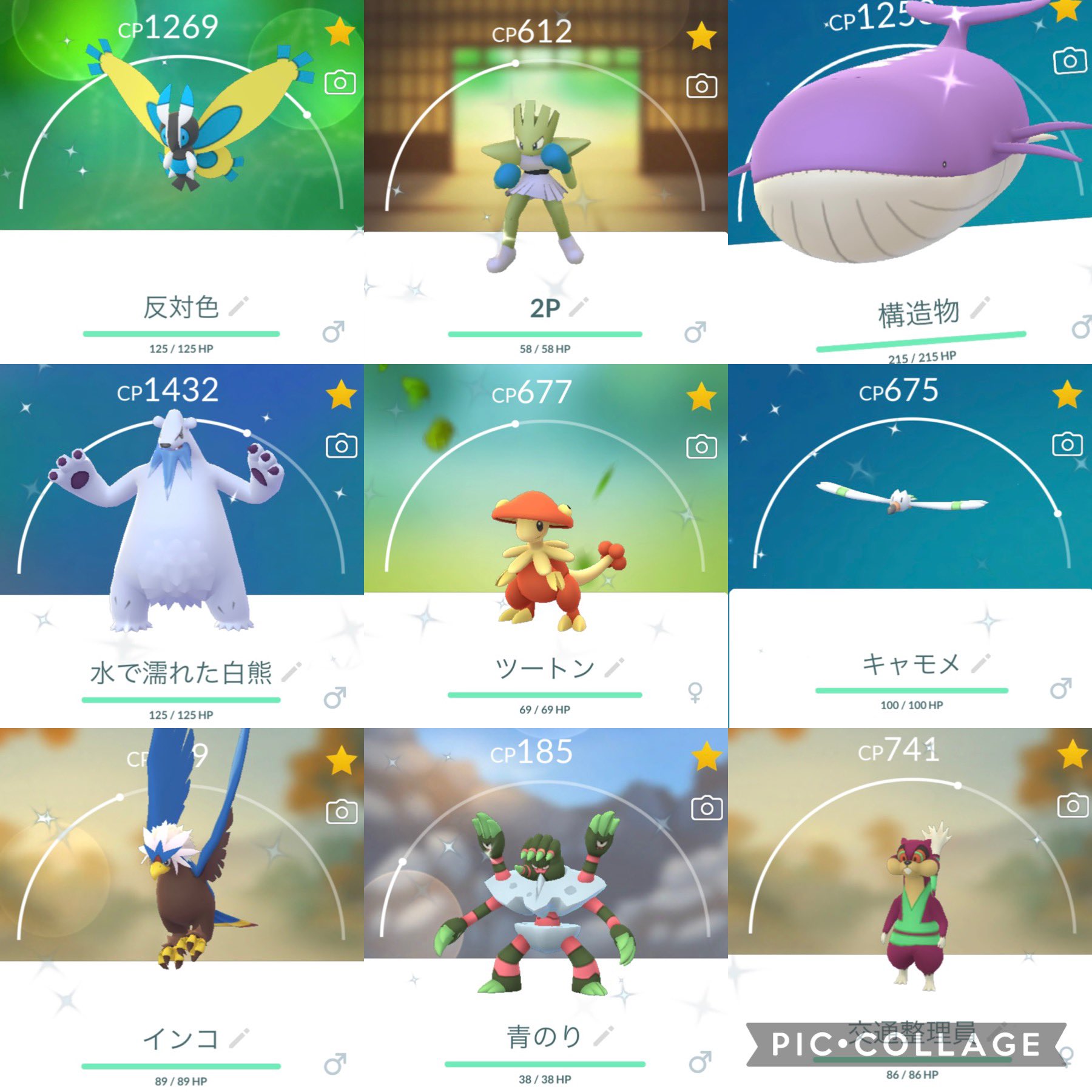 ざわけんのポケ活 2日目の方が色違い出た ポケモン ポケモンgo ポケモンgofest22 ポケモンgoフェス ポケモンgo色違い 色違い 色違いポケモン キノガッサ T Co Uy3a5b2p3l Twitter