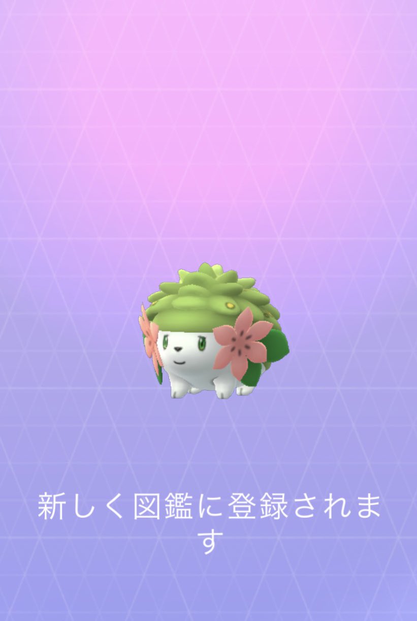 تويتر Kyaori Poke على تويتر 今日キバゴのレイドを追っかけてたら いつの間にかレベルアップしてました O 昨年9月から9ヶ月程 我ながらのんびりを実感d 明日からまたロケット団を追っかけなくては ポケモンgo レベル44 T Co