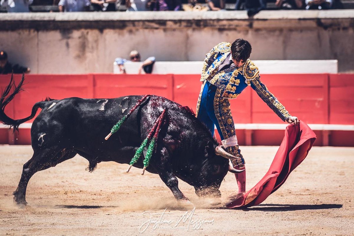 #Nîmes 🇫🇷 6️⃣ | Oreja!!! para Solalito tras lidiar al sexto. Ovacionado en arrastre el novillo de Roland Durand.

📸 <a href="/Justine_Messina/">Justine Messina</a>