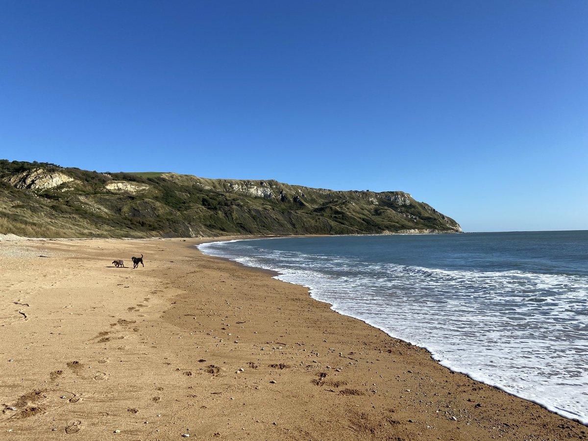 Lucy Pearce 🏳️‍🌈🇪🇺🐎 tweet media