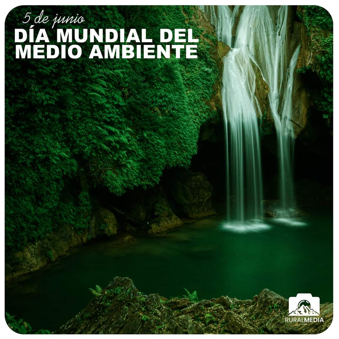 "Trata de dejar la Tierra como un lugar mejor del que era cuando llegaste". 🌎
                                          Sidney Sheldon 

#DíaMundialDelMedioAmbiente #5dejunio