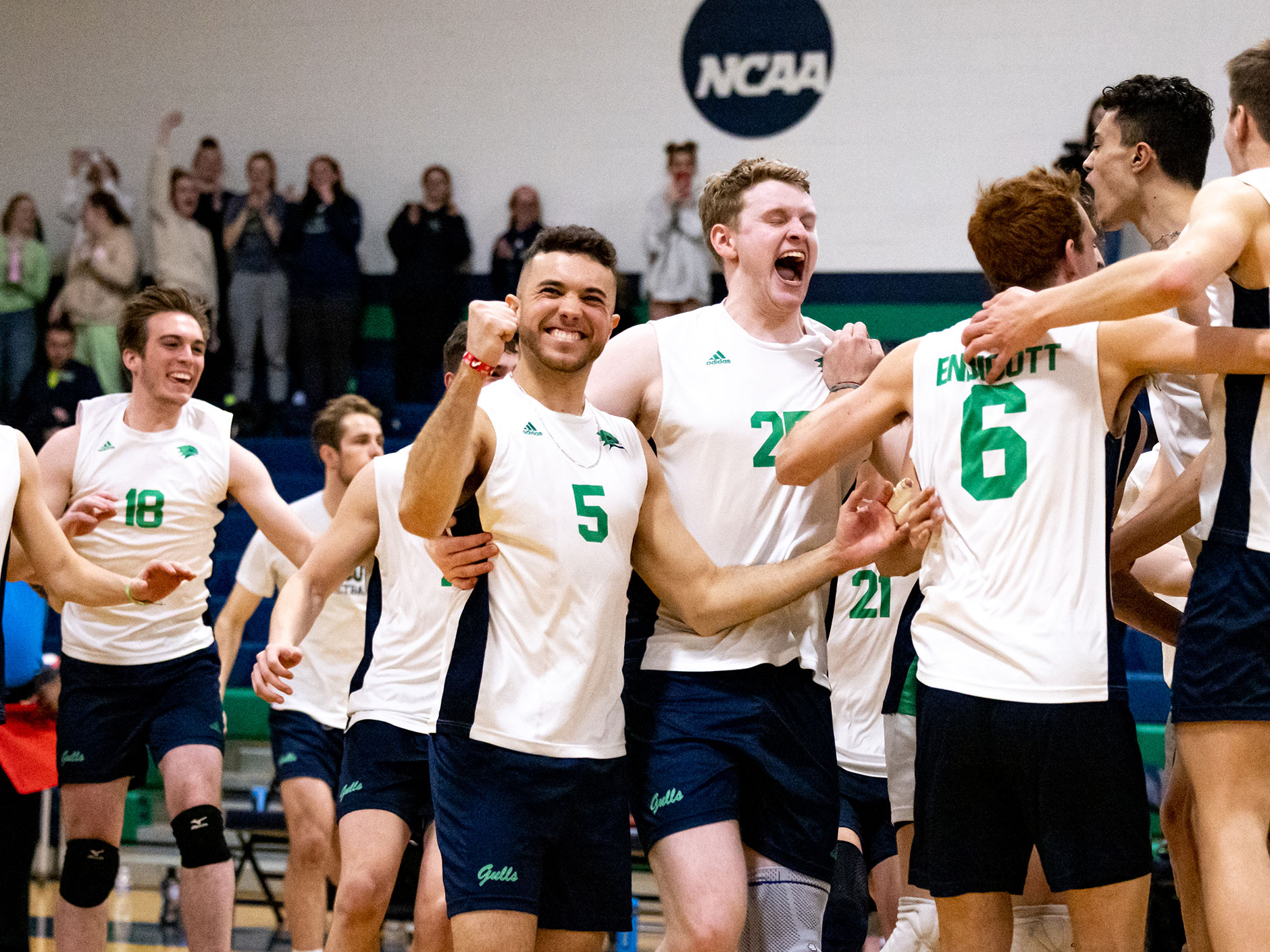Endicott College on Twitter "After a winning fall season, the Gulls