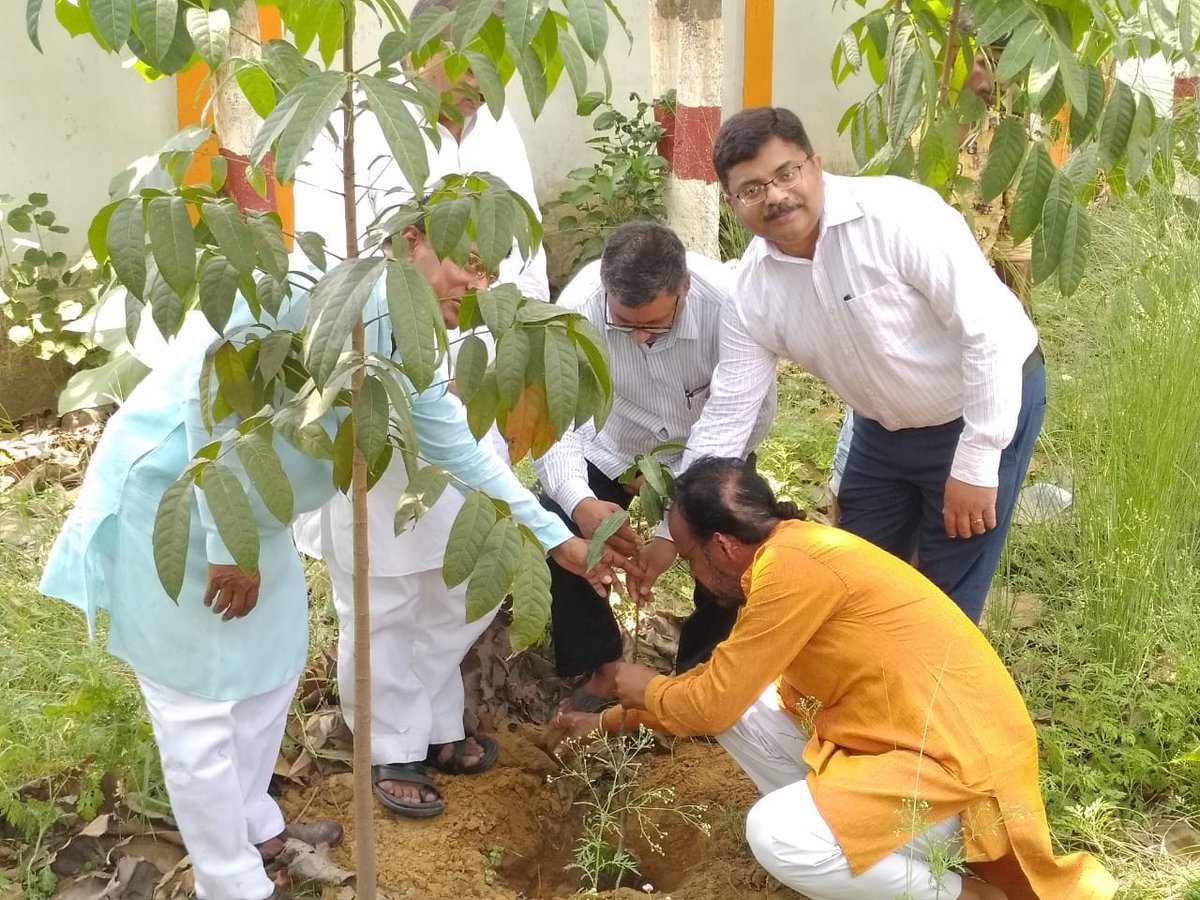 विश्व पर्यावरण दिवस पर आम का पौधा लगाया गया। हम सभी मिलकर प्रकृति को हरा भरा बनाएं यही आने वाली पीढ़ी को सबसे बड़ा उपहार होगा