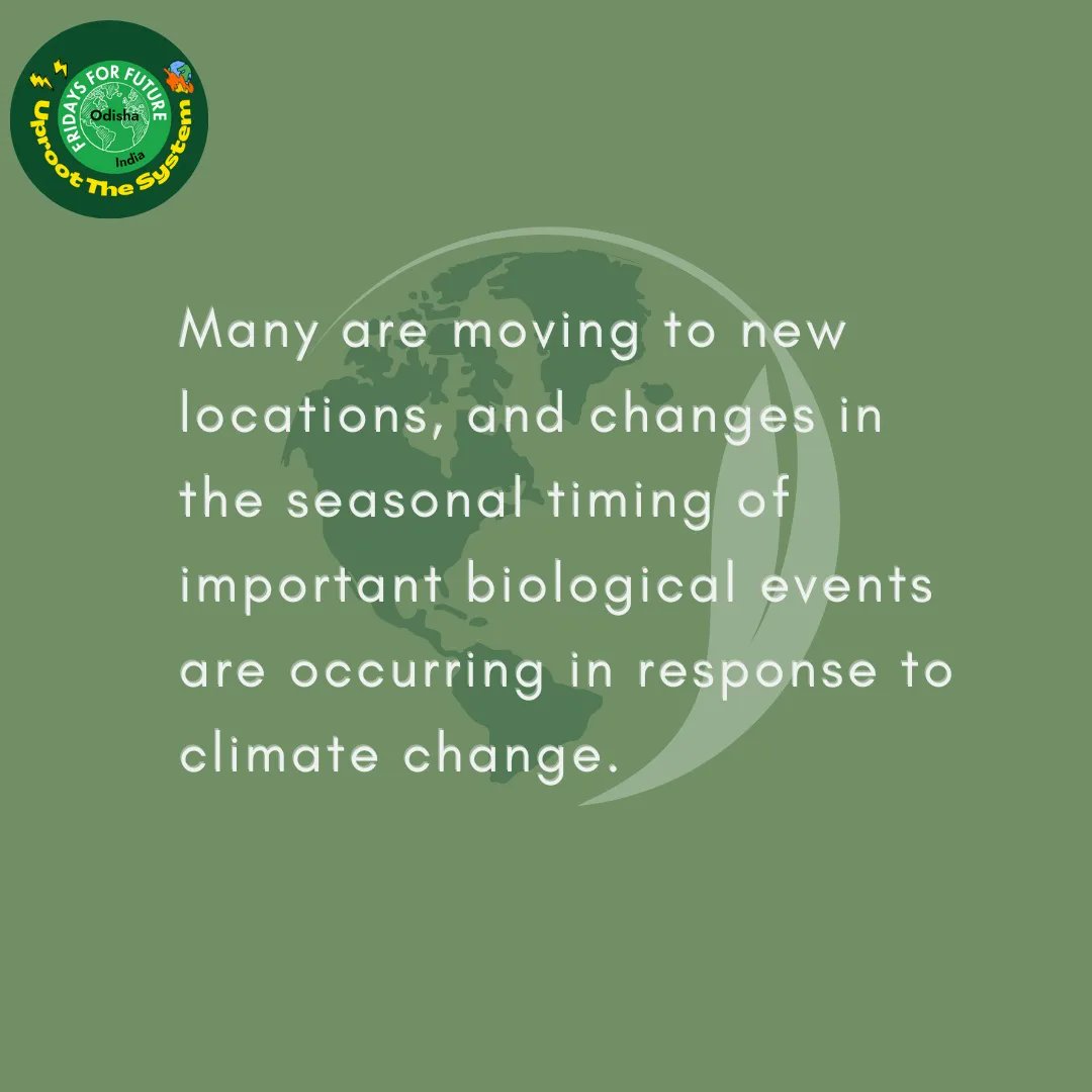FFFOdisha's tweet photo. #worldenvironmentday #environmentday #environment #fridaysforfuture #fridaysforfutureindia #globalwarming #climatechange #youth #youthforclimate #bhubaneswar https://t.co/Jm7Vap6Ndi