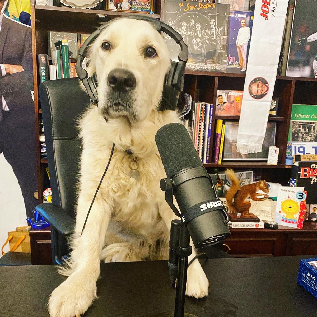 The 2 Johnnies tweet media