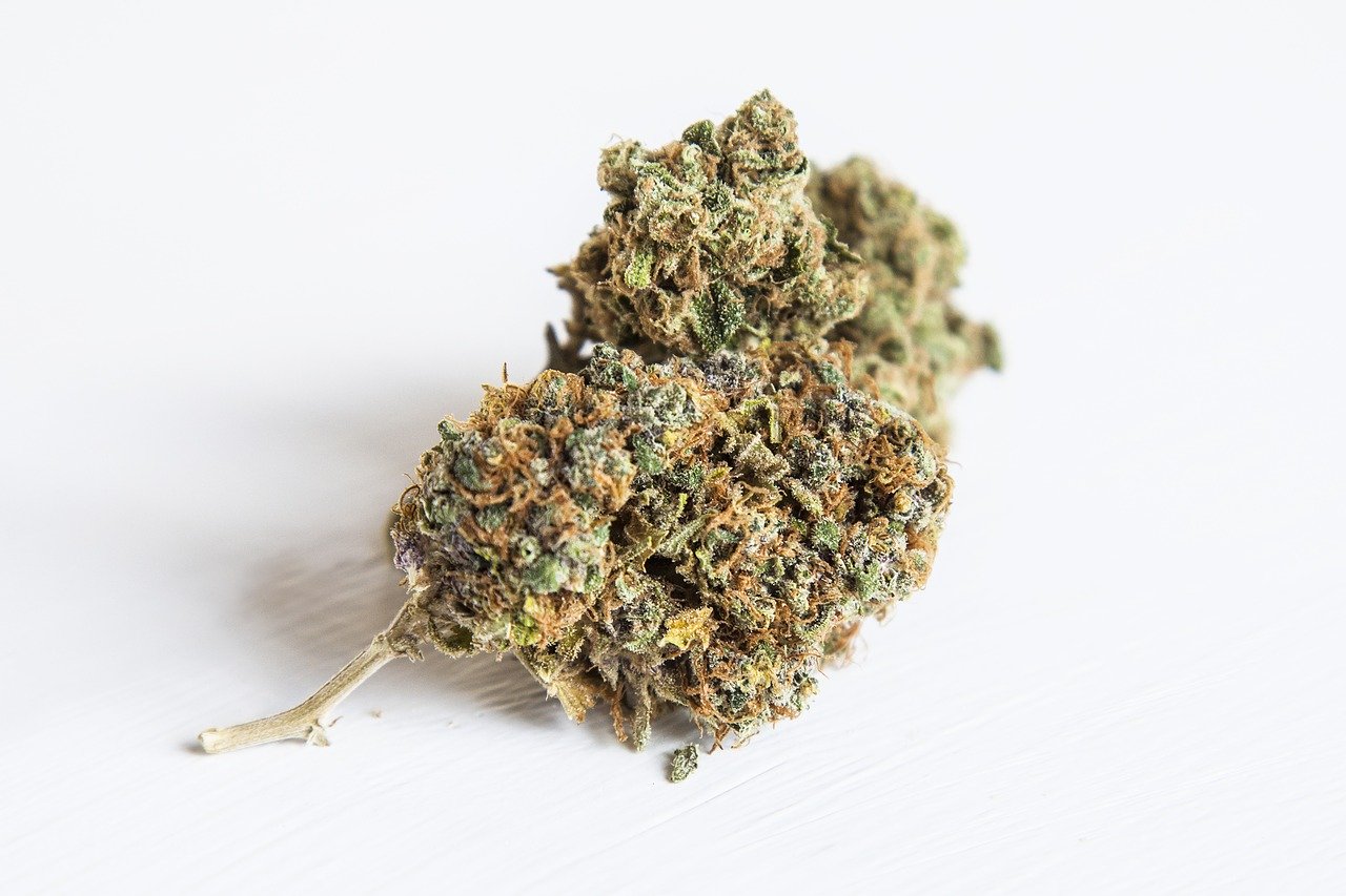 大麻 ダイヤ