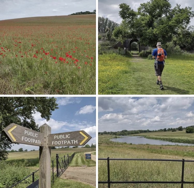 FV Challenge tweet media