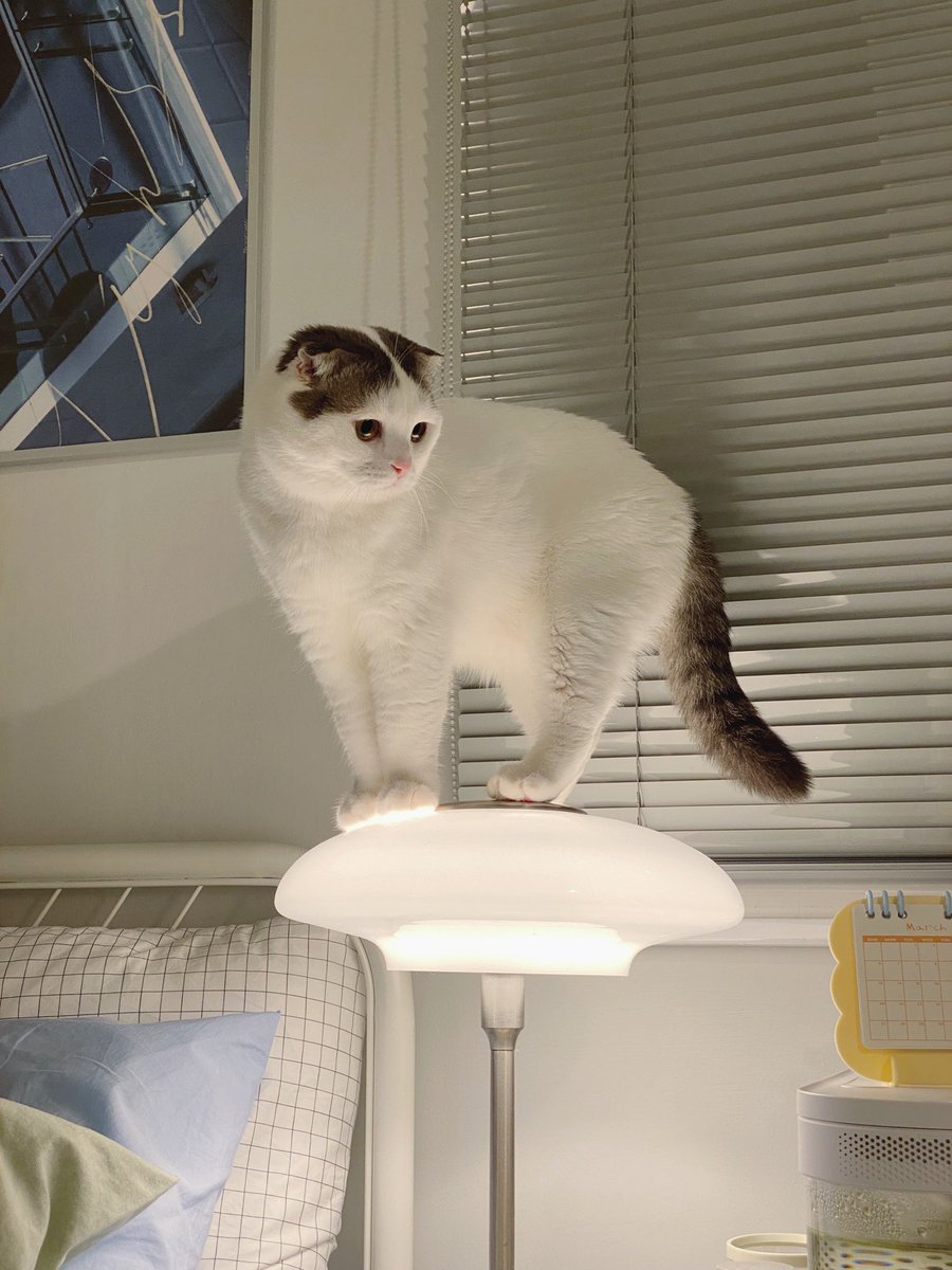 jiewliewnjiggo's tweet image. อีกหนึ่งแลนด์มาร์คของบ้านนนนน