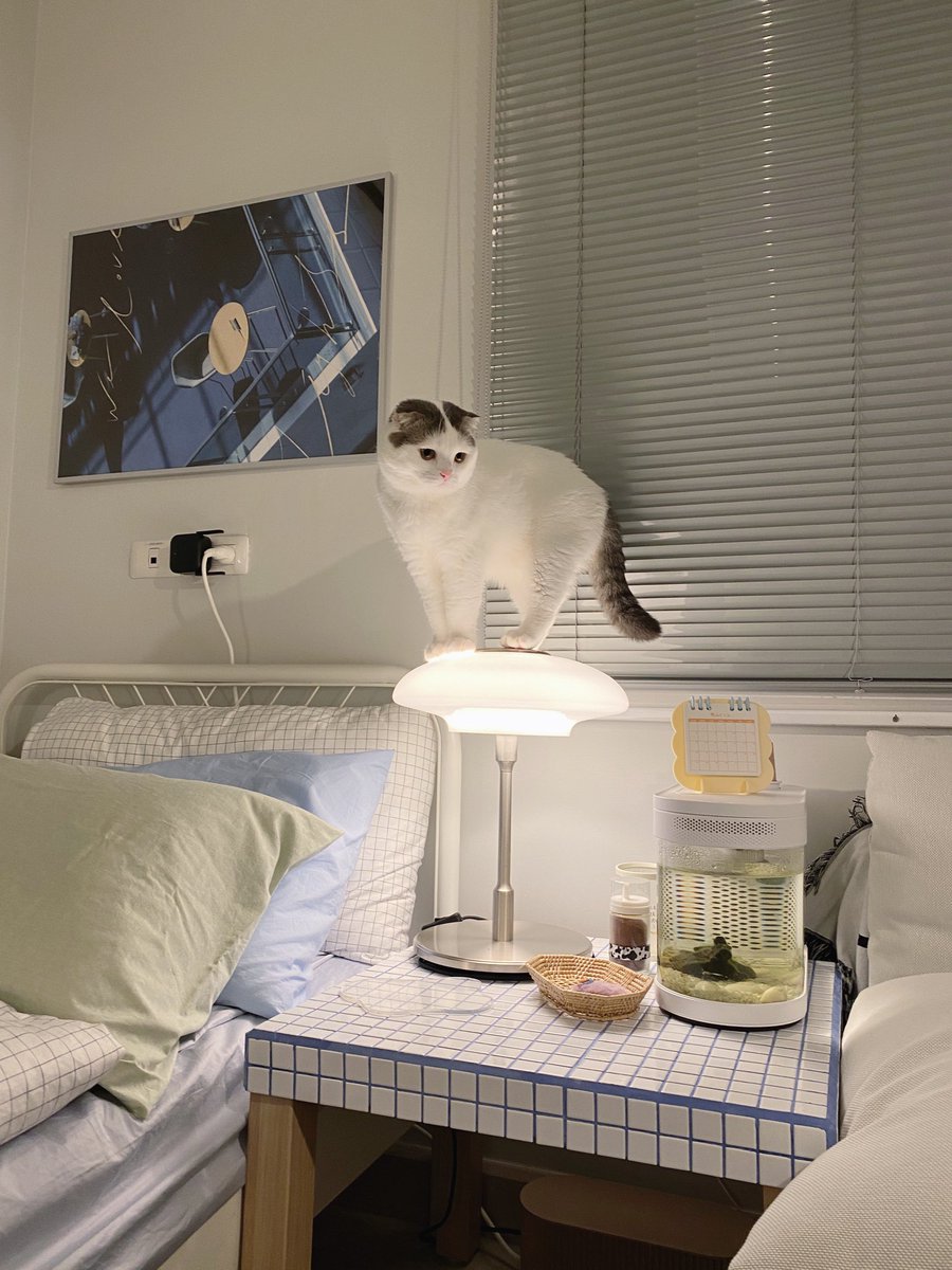 jiewliewnjiggo's tweet image. อีกหนึ่งแลนด์มาร์คของบ้านนนนน