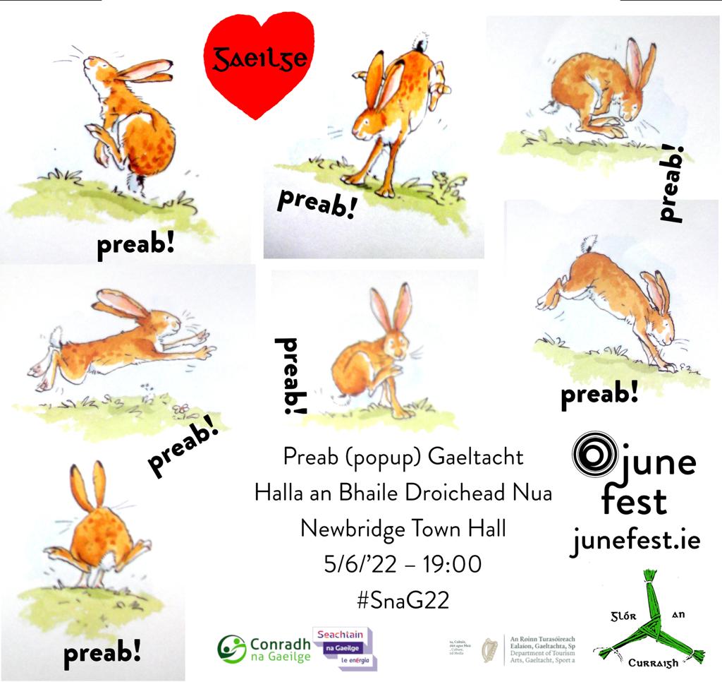 Newbridge June Fest 24 tweet media