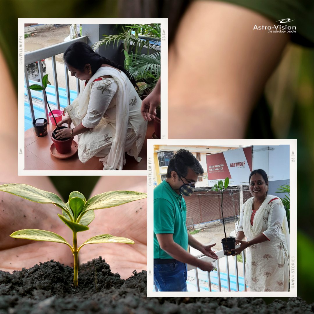 Astro_Vision's tweet photo. On the occasion of World Environment Day, Arjun Ravindran, Managing Director, handed over the plant to one of our customers, Mrs. Thilakavathi, as well as Astro Vision family members.
#AstroVision #TheAstrologyPeople #EnvironmentDay #SaveThePlanet #WorldEnvironmentDay2022 https://t.co/vxu5crjRGD
