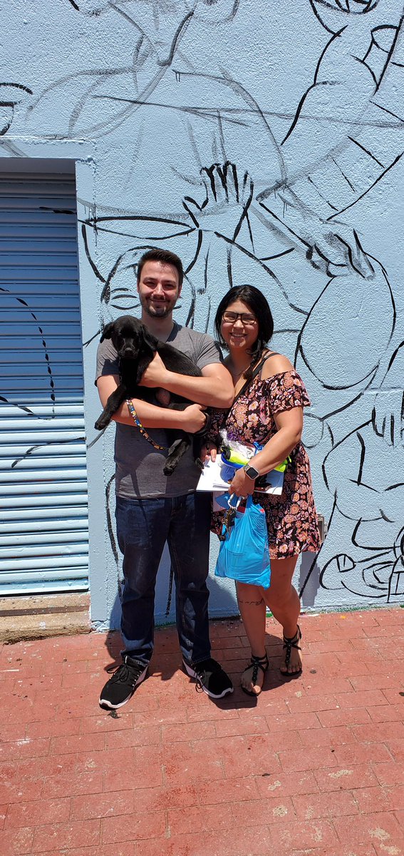 Bideawee tweet media