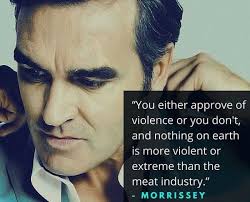 MyVeganReach Ⓥ tweet media