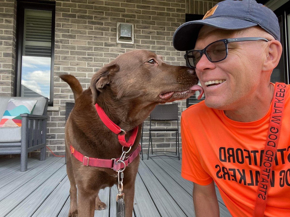 DogStratford's tweet photo. Expect the unexpected! #dogwalkerlife #dogkisses #unexpected #lovemyjob #StratfordOntario https://t.co/oQ3ZUlxcSm