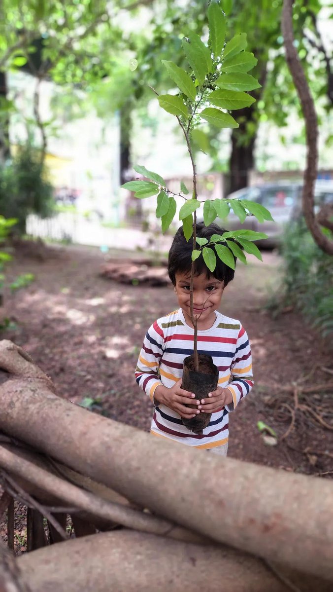 My Son Liam, with one of the many saplings that he planted on World Environment Day 2022. My wife and I are proud that we have inspired our boys to do this, they excitedly look forward to tree planting at every given opportunity. #WorldEnvironmentDay2022 #Goa #Goenkarponn #LiamG