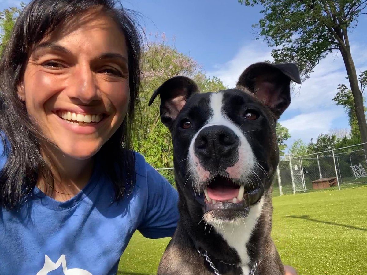 Providence_AC's tweet photo. Selfie #Sundog! 😍 Jax, resident #ACCTtoPAC heartthrob, promises to always smile in photos with his forever family, but only if they promise to love him fur-ever 🐶❤️
Learn more about him: https://t.co/pZQVoA8wmM https://t.co/oG5MqQAusd