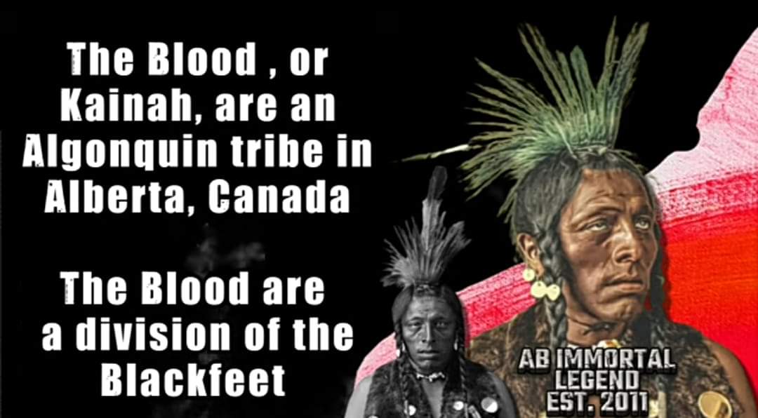 MYAH19794482's tweet photo. SO YOU THINK THE TITLE 
" THE BLOODS" WAS your creation? 
Think again.  THE ancestors had this title FIRST. It's in our DNA. It's culture being passed down from the root to the seeds. 

NATIVES-FIRSTNATIONS https://t.co/SLf65Z8Pho