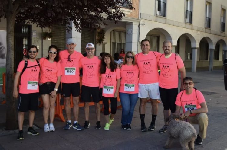 MCarmenPFSanse's tweet photo. XXV Carrera por La Inclusión, organizada por @APADISASOC. 🔝🔝
GRACIAS a @APADISASOC por vuestra labor y enhorabuena a todos los participantes en la carrera. 🥇🥈🥉
#PlenaInclusion
#PPSanse
#ApadisAsociacion https://t.co/LUdcs8Yh8P