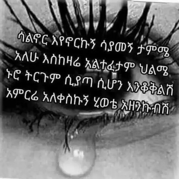 ZytunaD's tweet photo. https://t.co/Hb4OXpxGZO