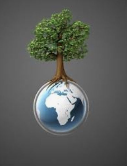 CabreramAlicia's tweet photo. Protegerlo y Cuidarlo , Nuestro  Deber 🌲🌿💚 Día Del Medio Ambiente ! Entre todos podemos https://t.co/clfR50mrwb