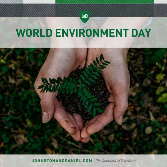 Happy World Environment Day! 🌳🌱

World Environment Day is celebrated to encourage and build awareness for the protection of our environment.

Save the bees. Protect the trees. Clean the seas.