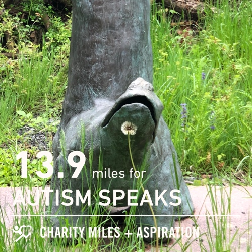 HHGStudio's tweet photo. 13.9 @CharityMiles for @autismspeaks. https://t.co/PzVECy7uvw
